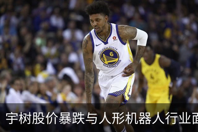 宇树股价暴跌与人形机器人行业面临严冬